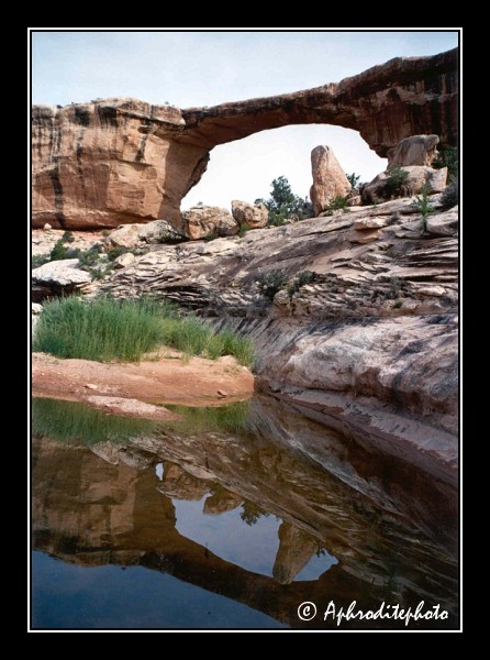Natural Bridges NM